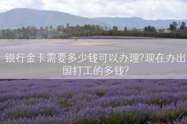 银行金卡需要多少钱可以办理?现在办出国打工的多钱?