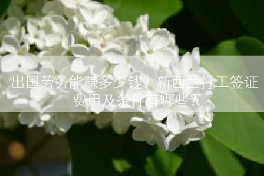 出国劳务能赚多少钱？新西兰打工签证费用及条件有哪些？