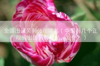 全国出国劳务公司排名（中国有几个正规的出国劳务网站，发个？）