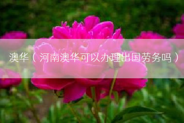 澳华（河南澳华可以办理出国劳务吗）