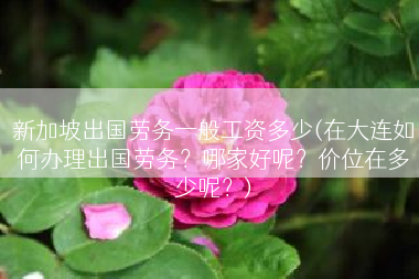 新加坡出国劳务一般工资多少(在大连如何办理出国劳务？哪家好呢？价位在多少呢？)
