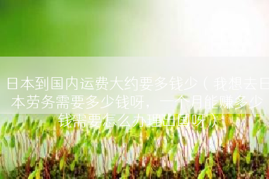 日本到国内运费大约要多钱少（我想去日本劳务需要多少钱呀，一个月能赚多少钱需要怎么办理出国呀）