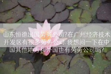 山东恒德出国劳务公司?在广州经济技术开发区有很多劳务公司.我想问一下在中国其他地方和外国也有劳务公司吗?
