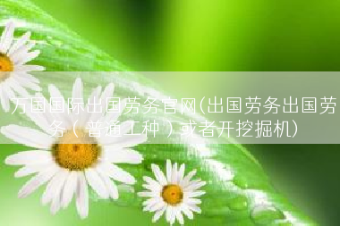 万国国际出国劳务官网(出国劳务出国劳务（普通工种）或者开挖掘机)