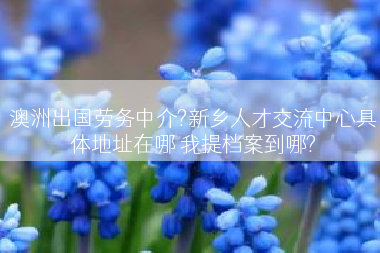 澳洲出国劳务中介?新乡人才交流中心具体地址在哪 我提档案到哪?