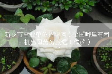 新乡市事业单位招聘网（全国哪里有司机出国劳务派遣工作的）