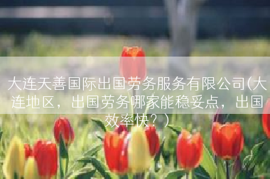 大连天善国际出国劳务服务有限公司(大连地区，出国劳务哪家能稳妥点，出国效率快？)