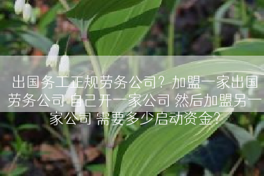 出国务工正规劳务公司？加盟一家出国劳务公司 自己开一家公司 然后加盟另一家公司 需要多少启动资金？