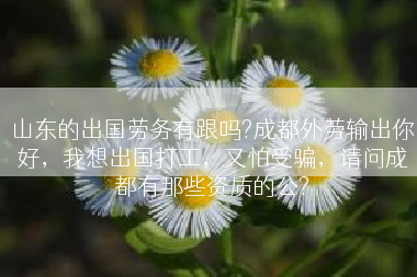 山东的出国劳务有跟吗?成都外劳输出你好，我想出国打工，又怕受骗，请问成都有那些资质的公?