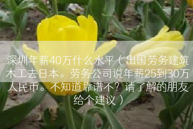 深圳年薪40万什么水平（出国劳务建筑木工去日本。劳务公司说年薪25到30万人民币。不知道靠谱不？请了解的朋友给个建议）