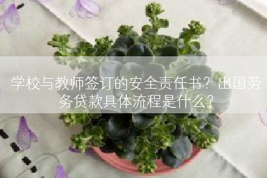 学校与教师签订的安全责任书？出国劳务贷款具体流程是什么？