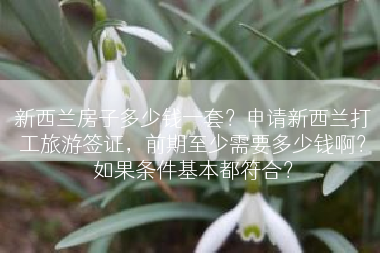 新西兰房子多少钱一套？申请新西兰打工旅游签证，前期至少需要多少钱啊？如果条件基本都符合？