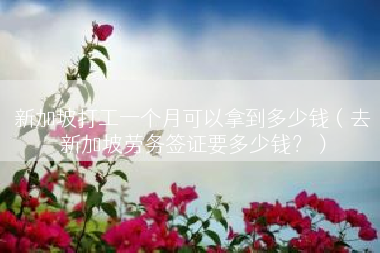 新加坡打工一个月可以拿到多少钱（去新加坡劳务签证要多少钱？）
