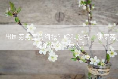 出国劳务宣传海报？呼和浩特市哪家劳务派遣公司最大？