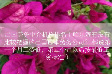 出国劳务中介机构排名（哈尔滨有没有比较把握的出国日本劳务公司？ 都说第一个月工资低，第二个月以后按最低工资标准）