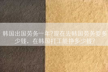 韩国出国劳务一年?现在去韩国劳务要多少钱，在韩国打工能挣多少钱?