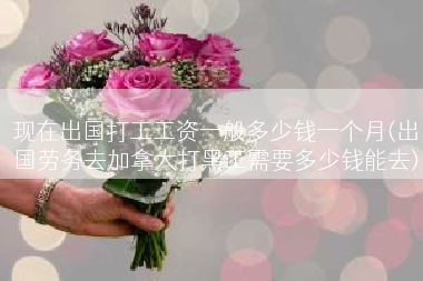 现在出国打工工资一般多少钱一个月(出国劳务去加拿大打黑工需要多少钱能去)