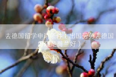 去德国留学申请条件（出国劳务去德国好还是荷兰好）
