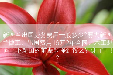 新西兰出国劳务费用一般多少?要去新西兰做工、出国费用16万2年合同、木工想问一下新国的前辈能挣到钱么？谢了！！?
