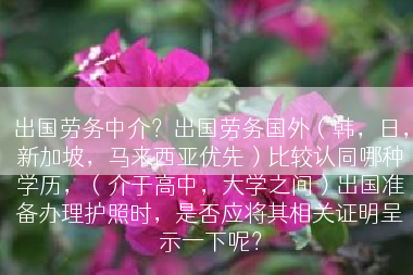 出国劳务中介？出国劳务国外（韩，日，新加坡，马来西亚优先）比较认同哪种学历，（介于高中，大学之间）出国准备办理护照时，是否应将其相关证明呈示一下呢？