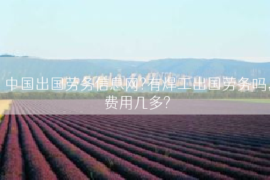 中国出国劳务信息网?有焊工出国劳务吗，费用几多?