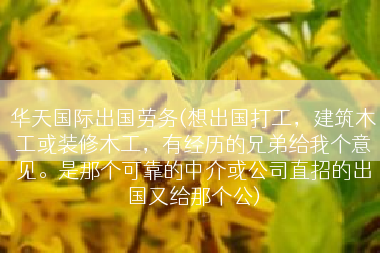 华天国际出国劳务(想出国打工，建筑木工或装修木工，有经历的兄弟给我个意见。是那个可靠的中介或公司直招的出国又给那个公)