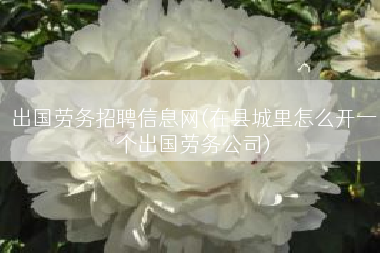 出国劳务招聘信息网(在县城里怎么开一个出国劳务公司)