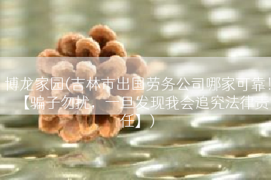博龙家园(吉林市出国劳务公司哪家可靠！【骗子勿扰，一旦发现我会追究法律责任】)