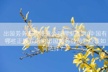 出国劳务正规派遣公司哪里查询(中国有哪些正规靠谱的出国劳务公司？应该如何选择？)