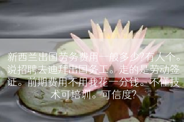 新西兰出国劳务费用一般多少?有人个。说招聘去迪拜出国务工。走的是劳动签证。前期费用不用我花一分钱。不懂技术可培训。可信度?