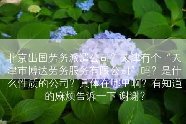 北京出国劳务派遣公司？天津有个“天津市博达劳务服务有限公司”吗？是什么性质的公司？具体在哪里啊？有知道的麻烦告诉一下 谢谢？