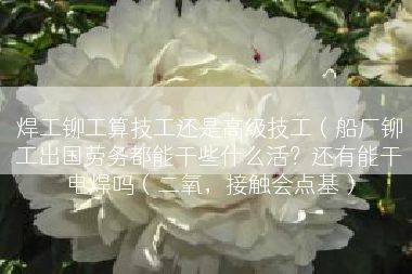 焊工铆工算技工还是高级技工（船厂铆工出国劳务都能干些什么活？还有能干电焊吗（二氧，接触会点基）
