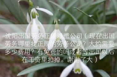 沈阳出国劳务正规派遣公司（现在出国劳务哪里找正规的劳务公司？大约需要多少费用？有免费的吗或者等出国以后在工资里扣掉。谢谢了大）