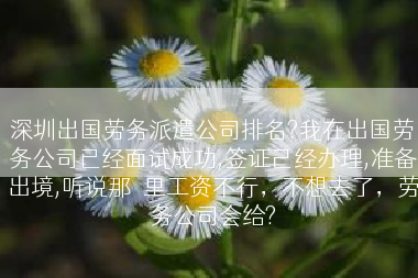 深圳出国劳务派遣公司排名?我在出国劳务公司已经面试成功,签证己经办理,准备出境,听说那�里工资不行，不想去了，劳务公司会给?