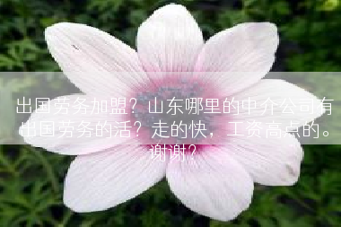 出国劳务加盟？山东哪里的中介公司有出国劳务的活？走的快，工资高点的。谢谢？