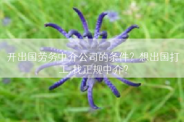 开出国劳务中介公司的条件？想出国打工,找正规中介？