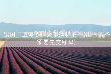 出国打工需要什么手续和证件(出国劳务须要先交钱吗)