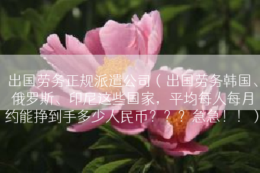 出国劳务正规派遣公司（出国劳务韩国、俄罗斯、印尼这些国家，平均每人每月约能挣到手多少人民币？？？急急！！）