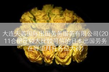 大连天善国际出国劳务服务有限公司(2011合肥比较大比较可信的日本出国劳务在哪里拜托各位大神)