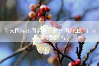 华天国际出国劳务（想出国打工，有前期不收费的吗）