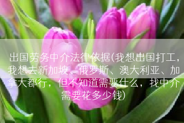 出国劳务中介法律依据(我想出国打工，我想去新加坡、俄罗斯、澳大利亚、加拿大都行，但不知道需要什么，找中介需要花多少钱)