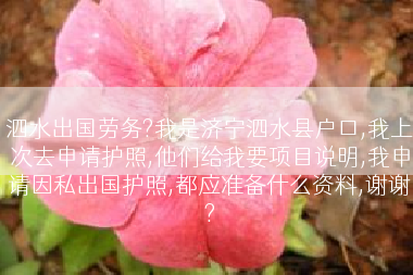 泗水出国劳务?我是济宁泗水县户口,我上次去申请护照,他们给我要项目说明,我申请因私出国护照,都应准备什么资料,谢谢?