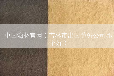 中国海林官网（吉林市出国劳务公司哪个好）