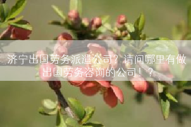济宁出国劳务派遣公司？请问哪里有做出国劳务咨询的公司！？