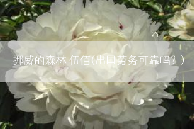 挪威的森林 伍佰(出国劳务可靠吗？)