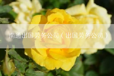 南通出国劳务公司（出国劳务公司）