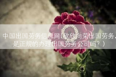 中国出国劳务信息网(欣欣向荣出国劳务，是正规的办理出国劳务公司吗？)