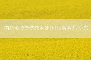 南航金城学院教务处(出国劳务怎么样)