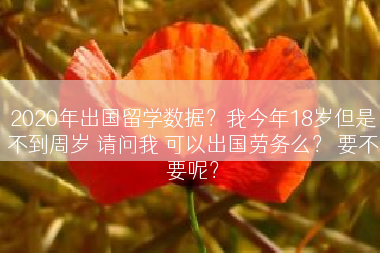 2020年出国留学数据？我今年18岁但是不到周岁 请问我 可以出国劳务么？ 要不要呢？