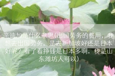 辛迪加是什么意思(出国劳务的费用，我想去出国劳务，是去新加坡好还是日本好呢？看了看挣钱是日本多啊，我是山东潍坊人可以)